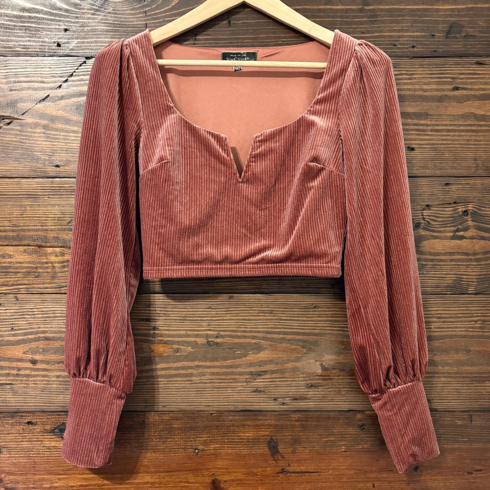 Blue Blush Ribbed Velvet Crop Top Women's S Mauve Pink Puff Sleeve Coquette Glam